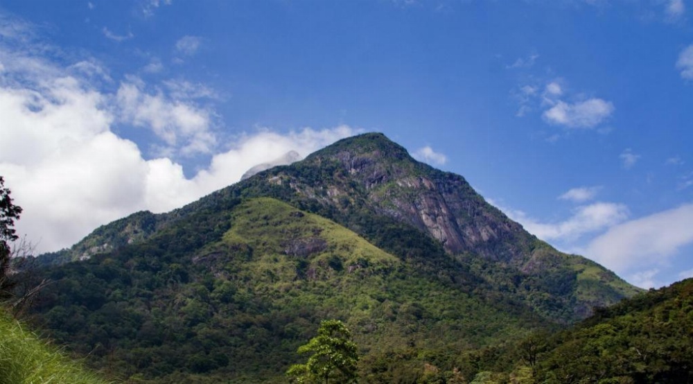 Theva Residency Main image